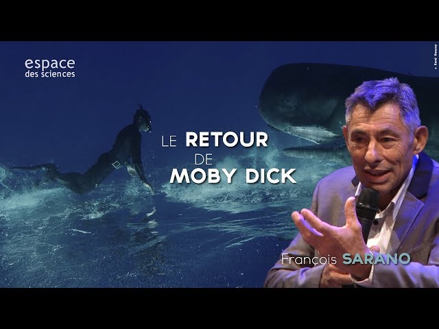 Documentaire Le retour de Moby Dick