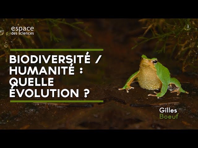 Documentaire Biodiversité / humanité : quelle évolution ?