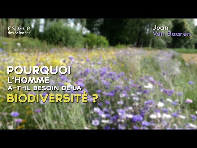 Pourquoi l’Homme a-t-il besoin de la biodiversité ?