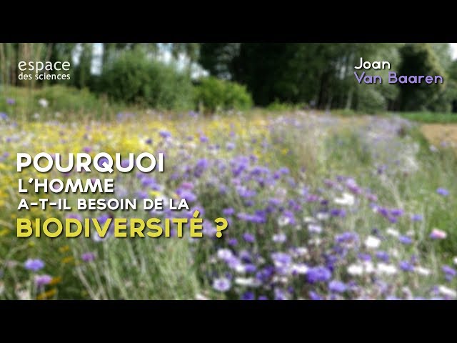 Documentaire Pourquoi l’Homme a-t-il besoin de la biodiversité ?