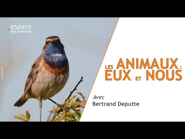 Les animaux : eux et nous