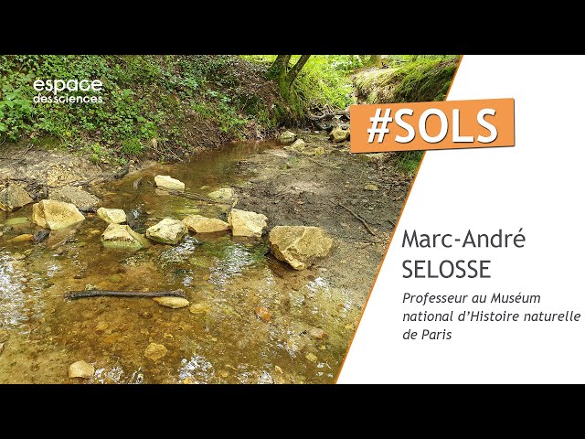 Les sols : ces compagnons que nous méconnaissons