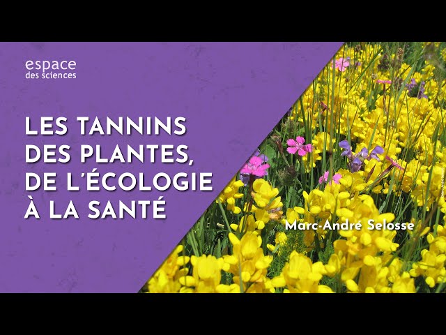Les tannins des plantes, de l’écologie à la santé