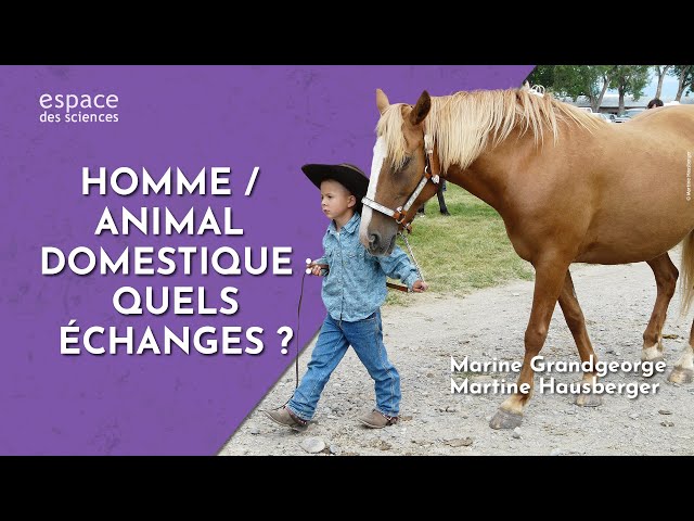 Homme / Animal domestique : quels échanges ?