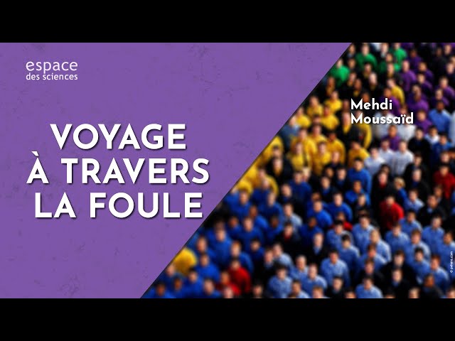 Voyage à travers la foule