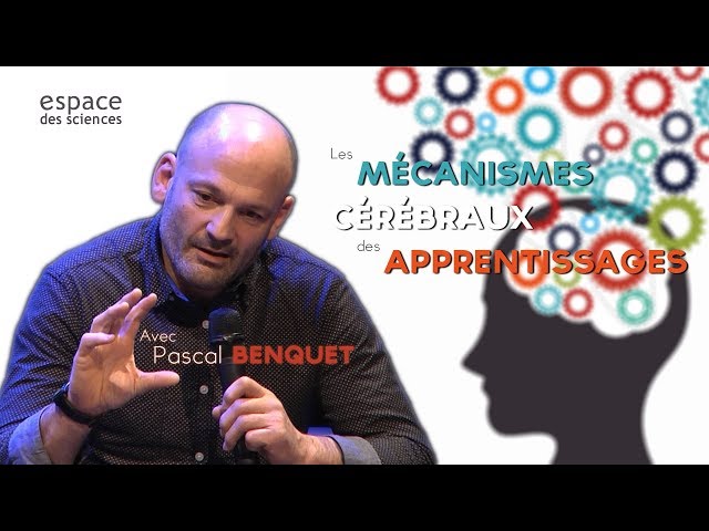 Les mécanismes cérébraux des apprentissages