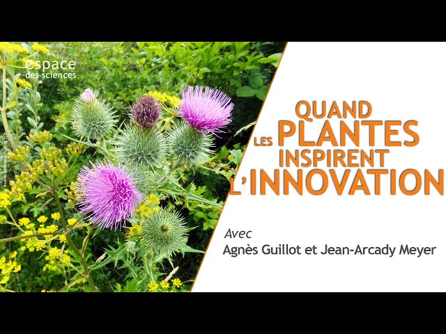 Documentaire Quand les plantes inspirent l’innovation