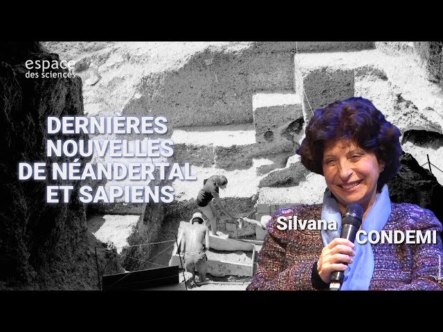Dernières nouvelles de Néandertal et Sapiens