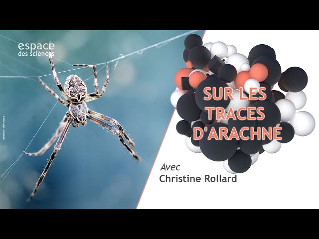Documentaire Sur les traces d’Arachné