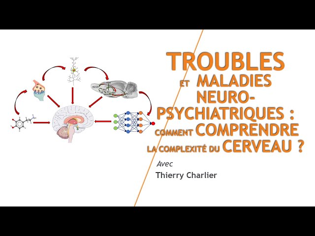 Documentaire Troubles et maladies neuropsychiatriques : comment comprendre la complexité du cerveau ?