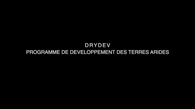 DRYDEV