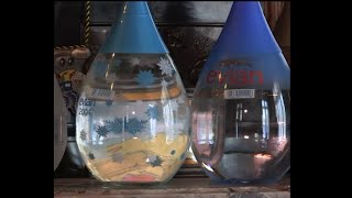 Evian, l'eau minérale qui rapporte