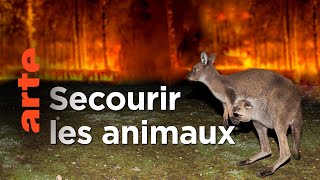 Feux de forêt en Australie