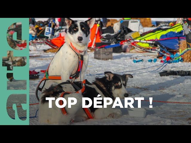 Huskies, top départ