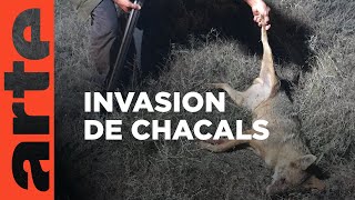 La Roumanie victime de la sécheresse