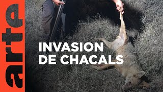 Documentaire La Roumanie victime de la sécheresse