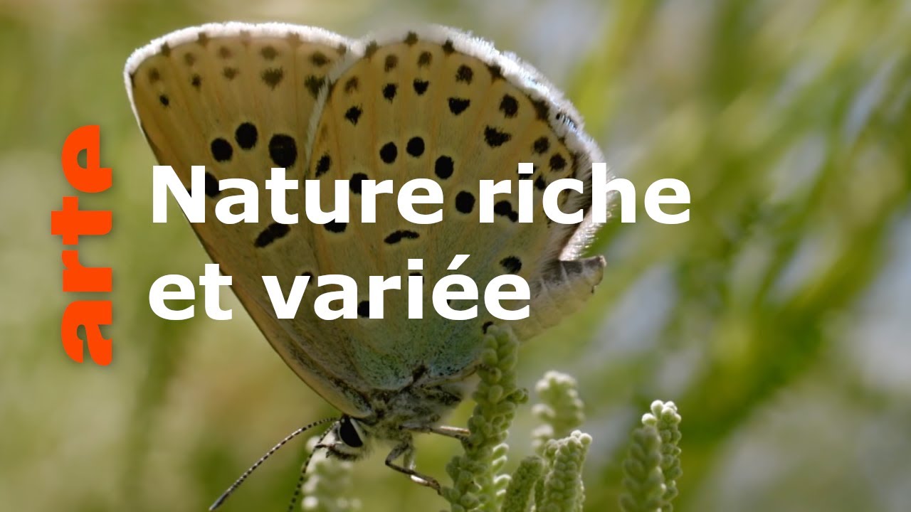 Le maquis | Associations de bienfaiteurs