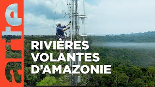 Documentaire Le mystère des rivières volantes d’Amazonie