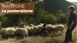 Le pastoralisme avec Esteban