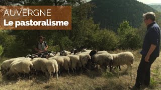 Documentaire Le pastoralisme avec Esteban