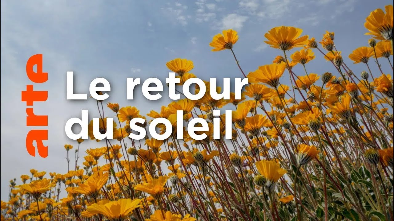 Le printemps | Les USA sauvages en quatre saisons