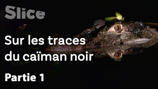 Le repère des caïmans noirs | Partie 1