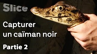 Documentaire Le repère des caïmans noirs | Partie 2