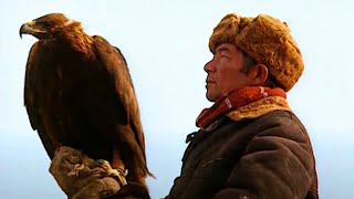 Documentaire Le seigneur des aigles