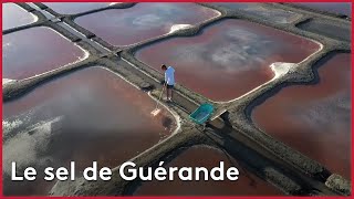 Documentaire Le sel de Guérande