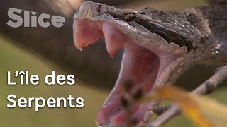 Documentaire Le seul parc national consacré aux serpents