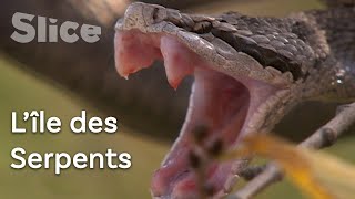 Le seul parc national consacré aux serpents