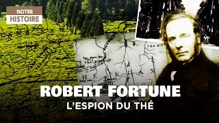Documentaire Les aventures de Robert Fortune ou comment le thé fut volé aux chinois