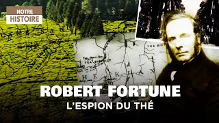 Les aventures de Robert Fortune ou comment le thé fut volé aux chinois