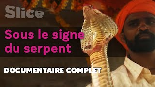 Les hommes face aux serpents géants