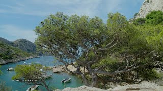 Les Calanques de Marseille, entre mer cristalline et paysages grandioses
