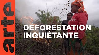 Documentaire Madagascar : terre de feu