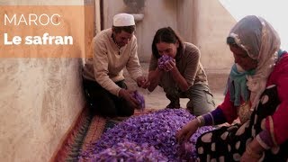 Documentaire Maroc, sur la route des oasis – le safran