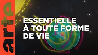 Où trouver l’énergie parfaite ?