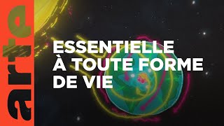 Documentaire Où trouver l’énergie parfaite ?