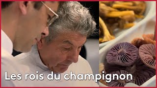 Documentaire Régis et Jacques Marcon, les rois du champignon