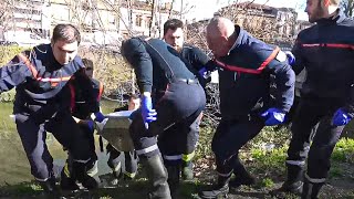 Toulouse, les soldats de l'urgence en action