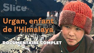 Documentaire Urgan, enfant de l’Himalaya