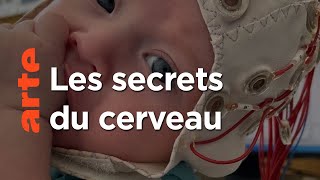 Visage et voix : ils en disent long