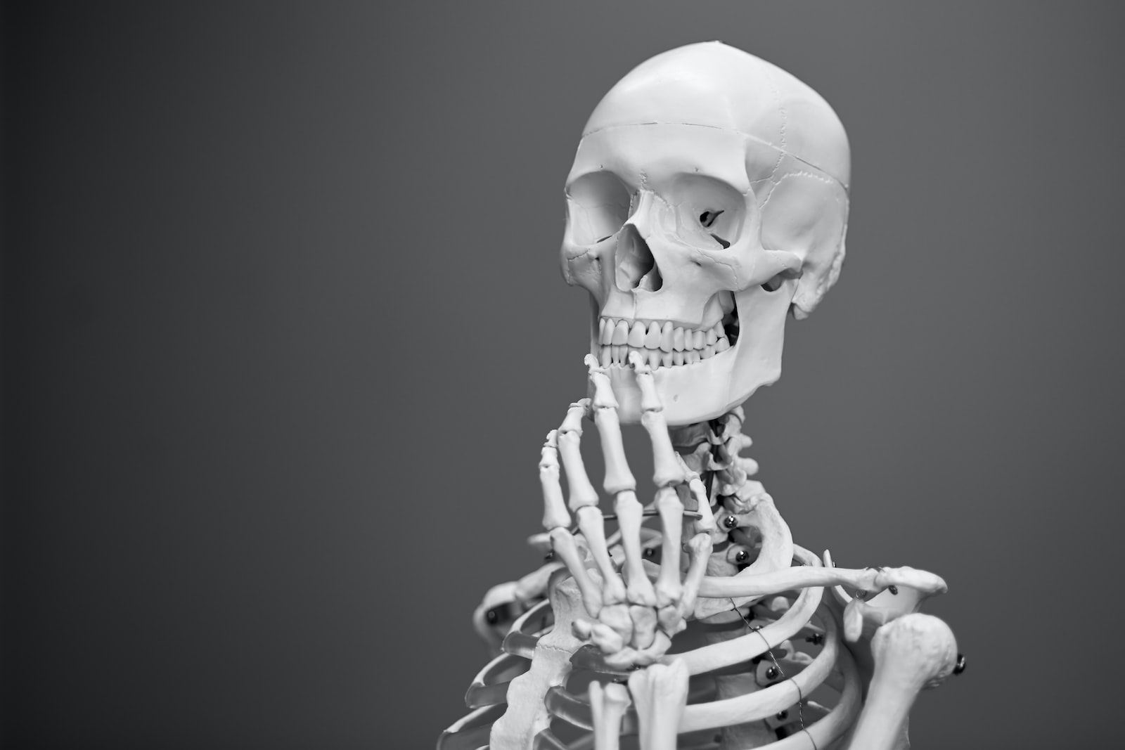 Documentaire Zoom sur l’ostéoporose