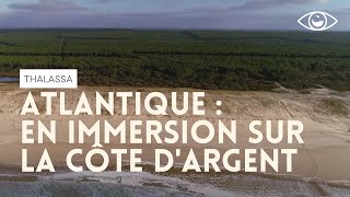 Documentaire Atlantique : en immersion sur la Côte d’Argent