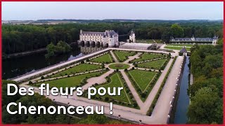 Documentaire Chenonceau en fleurs