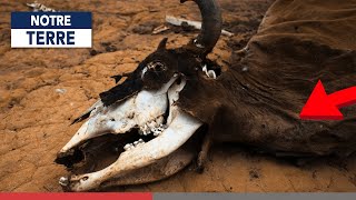 Documentaire Des sécheresses à répétition en Tanzanie