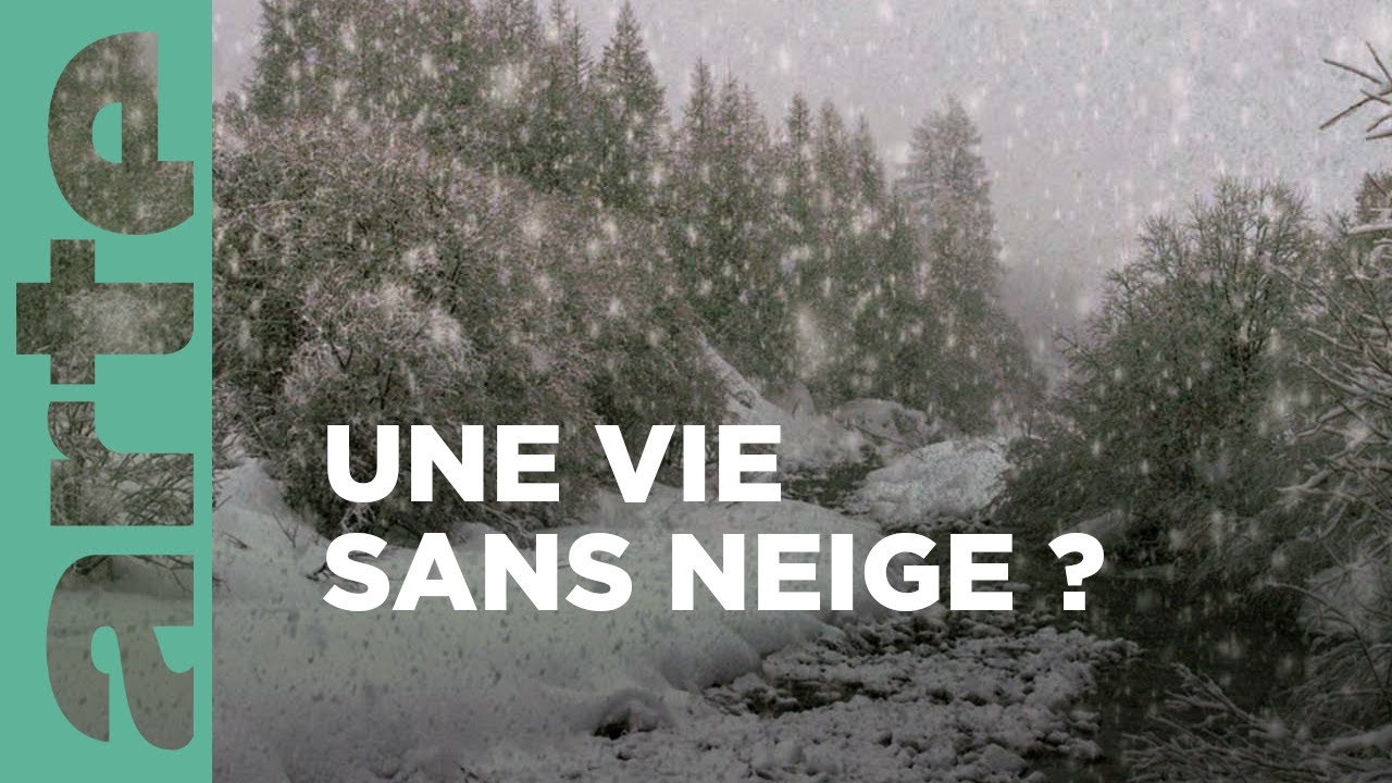En attendant la neige