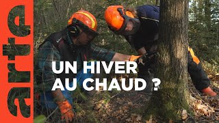 Documentaire Hiver : la ruée sur le bois et le charbon