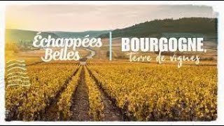Documentaire La Bourgogne, terre de vignes